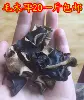Товары от 玲玲菌菇