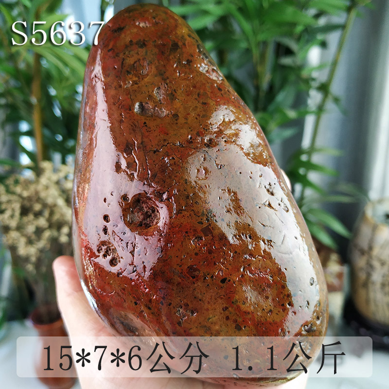 S5637 Training StoneBaoqing SHORTS SNO 22 days however Dawan stone Guangxi specialty Viewing Sketch stone rough  Put the pieces together a move Source of goods