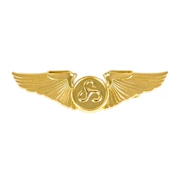 Весенний и осенний значок авиакомпании