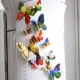 Два -слойная радуга бабочки 12