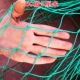 Lưới chăn nuôi gia cầm lưới bầu trời lưới gà lưới nylon hàng rào lưới vây gà lưới bảo vệ cây leo dây leo lưới chống chim lưới