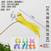 Жемчужная птица 1 (случайный цвет)