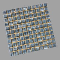 Цвет лотоса