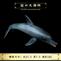 Новый открытие большого дельфина (пятна)