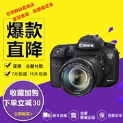 Máy ảnh đơn Canon EOS7DMarkII7D2 đặt máy ảnh DSLR kỹ thuật số thỏ bất khả chiến bại 6D7D5D3ii7deos - SLR kỹ thuật số chuyên nghiệp