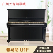 [Lựa chọn video trực tiếp tại nhà máy] Đàn piano nhập khẩu Yamaha YAMAHA U1F Nhật Bản - dương cầm