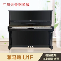 [Lựa chọn video trực tiếp tại nhà máy] Đàn piano nhập khẩu Yamaha YAMAHA U1F Nhật Bản - dương cầm yamaha ydp 144