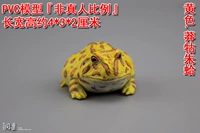 Желтый. Манггу Чжу Голуб