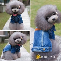 Одежда для домашних животных джинсовая куртка плюшевая Vip Bermes Berkin маленькая собачья одежда для собак весна и осенняя одежда для щенков