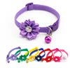 1.0 Random delivery of 6 colors with flowers collar