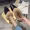 Giày lông mũi nhọn nữ mùa thu đông 2018 Thời trang mới của Hàn Quốc mang baotou một nửa dép thỏ lông Giày cao gót đế thấp