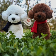 Teddy dog ​​đồ chơi sang trọng hình con chó mô phỏng linh cẩu hơn gấu búp bê cô gái quà tặng trẻ em - Đồ chơi mềm