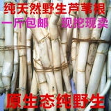 Хенан Цзяозуо загрязняет свежие дикие тростник