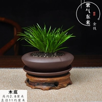 (Фиолетовая грязь) Фиолетовый Qi East поставляется с тарелкой+деревянным дном