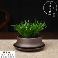 (Purple Mud) Отличный бизнес тысячи денег с тарелкой