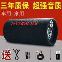 Loa siêu trầm âm thanh xe hơi 12,24v sửa đổi xe tải đặc biệt công suất cao không dây Loa nhà Bluetooth - Âm thanh xe hơi / Xe điện tử máy hút bụi oto