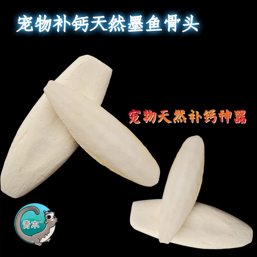 Медовые сумки, белка хомяка, грызуна, кость каракули