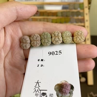 Shengshi Flower Little Mite One Shot 9025