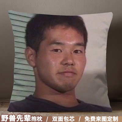 taobao agent Beast Pioneer Pillow DIY surrounding Islanders True Summer Night Yin Dream 114514 Dispatient Field Institute Pillow Pillow