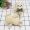 Đồ chơi sang trọng Teddy Bear Curl Bow Tie Doanh Bear Bức tượng Mặt dây Cartoon Cartoon Bó hoa cưới Quà tặng - Đồ chơi mềm