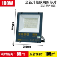 100 wata ming patch белый свет