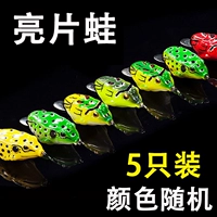 Лягушка Sequi [5/случайный цвет]
