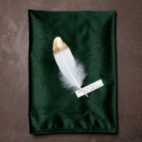 INS WIND VELVET PHOTE ФОНА ФОНА ТРИЗКА Серьмы ювелирных изделий, еда шикарная камера реквизит фоновая табличная ткань салфетка Light Luxury