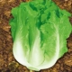 Итальянский салат составляет около 2000 капсул
