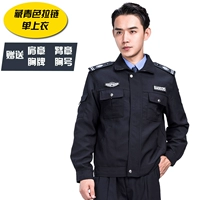 Тибетская синяя молния.