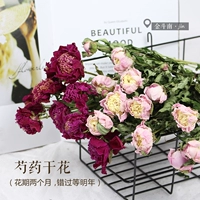 Peony Dry Flowers New Product Перечисление Zhenhua -воздух -придато
