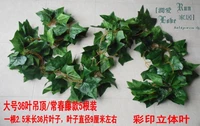 36 Ye Changchun 5 установка