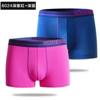 2063 Deep Purple Red/Trach Blue