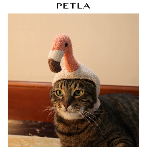 Петла Патла Огненная птица Хэллоуин ручные холдинги домашняя кошка кошачья кошка пояс родился мини -шляпа дни рождения