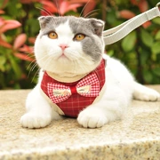 Mèo dây xích mèo chống phá đặc biệt tạo tác mèo phong cách vest mèo dây xích mèo cưng mèo dây hình chữ I - Cat / Dog hàng ngày Neccessities