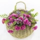Очистить цветочную корзину ивы цветов+гвоздики