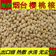5 kg kích thước hạt cherry hạt nhân số lượng lớn gối điền massage cứng cổ tử cung gối chất liệu cổ giúp ngủ