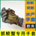 Bắt biển bắt cua xanh găng tay dây thép đặc biệt dày dặn chống cắt mổ gia súc cá găng tay rùa chống cắn chống trượt thị trường găng tay bảo hộ 
