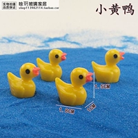 B.Duck, утка, 1 пары