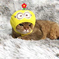 Маленькая желтая голова