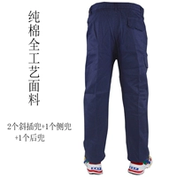 Синие демисезонные хлопковые штаны