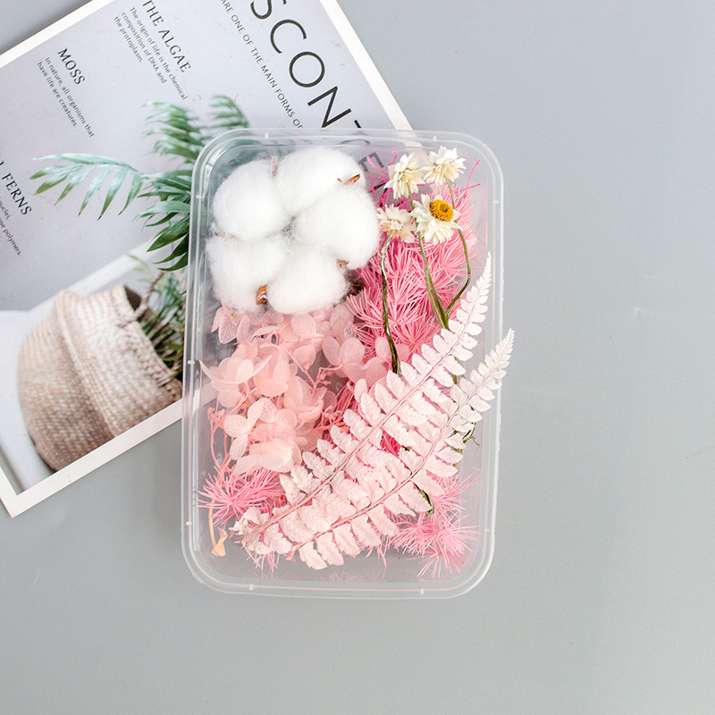 Pink Butterfly / Dried Flower Boxbeautiful Mu son Mixed pack diy Hand made decorate Immortal flower Dried flower Set meal Material Science diy Photo frame Flower wood Embossed bag