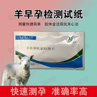3 Овца ранней беременности. Тестовая бумага