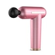 Классическая модель розового цвета [6 массажных головок + 3 уровня]