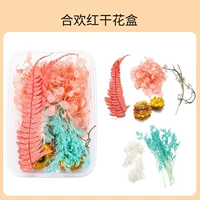 Хехуань красная сухой цветочная коробка