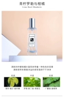 Lyne и цитрусовые и цитрусовые