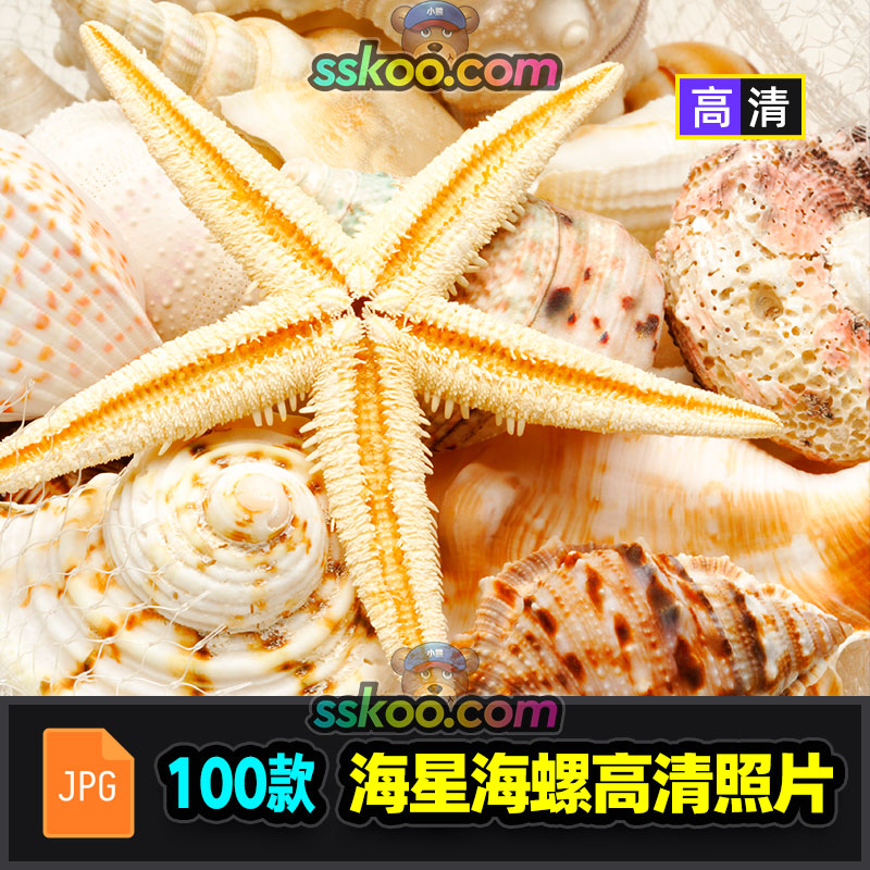高清海星贝壳海螺海滩沙滩风景JPG图片摄影照片背景平面设计素材