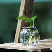 Bí ngô treo chai bí ngô thủy tinh thủy tinh chứa bình thủy tinh - Vase / Bồn hoa & Kệ