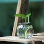 Bí ngô treo chai bí ngô thủy tinh thủy tinh chứa bình thủy tinh - Vase / Bồn hoa & Kệ chậu nhựa trắng