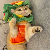 Meow Dang Lao Bib M Code (рекомендуется быть в пределах 18 фунтов)