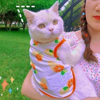 Прохладное лето [оранжевый] летняя тонкая модель